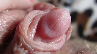 Intense Close-Up Of My Pulsating Clitoris