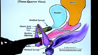 Homemade Lesson On Female Ejaculation